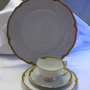 Franconia Krautheim Jewel China vierdelige serviesset