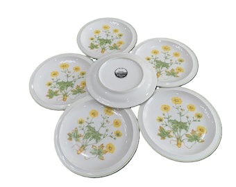6 "Sunrise" salladstallrikar / förrättstallrikar tillverkade i Japan av Royal Domino