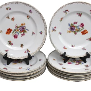 Pirkenhammer Dinner Plates - Etsy