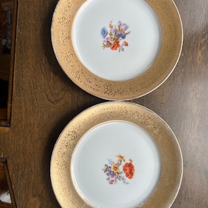 Rosenthal Selb Bavaria Gilded Plate Floral Center 10.75&quot; Set of 2