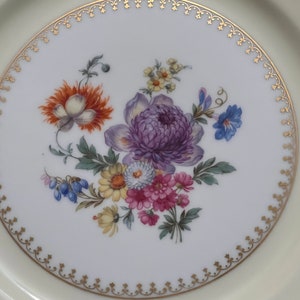 Puls Germany Large 11 Inch Porcelain Plate Pale  Yellow Border Floral Center