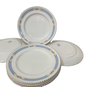 Peut inclure: Ensemble d'assiettes en céramique blanche avec une bordure bleue et florale. Les assiettes ont un bord festonné et un motif décoratif sur le bord. Plusieurs assiettes sont empilées, d'autres sont disposées autour.