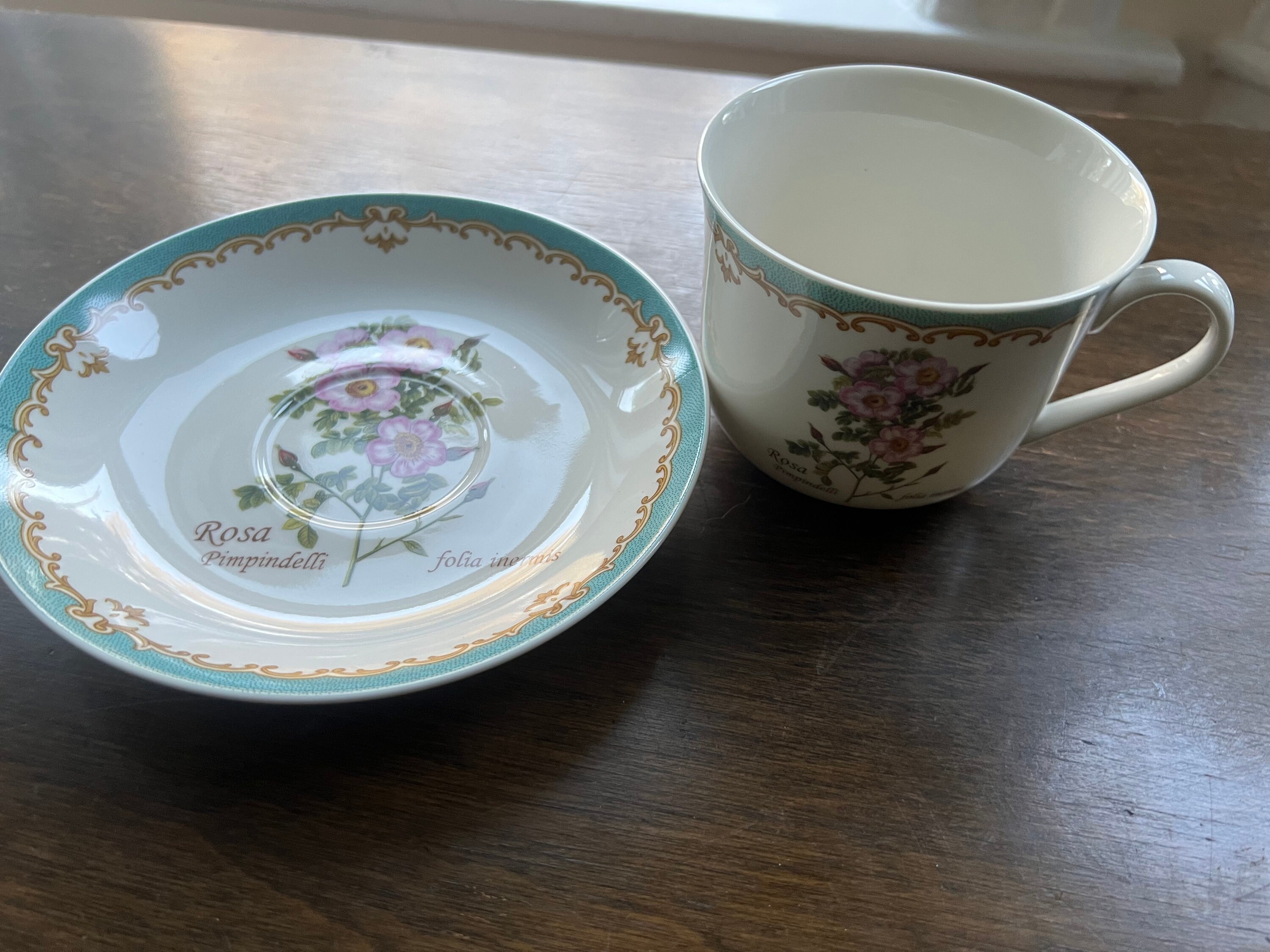 Kent Pottery 1887 England Oversized Tea Cup & Saucer Rosa 