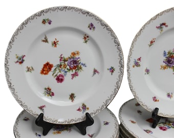 Conjunto de 12 pratos de jantar em porcelana Epiag Pirkenhammer / Dresden Floral "Dresdene (Filigrana Dourada)"
