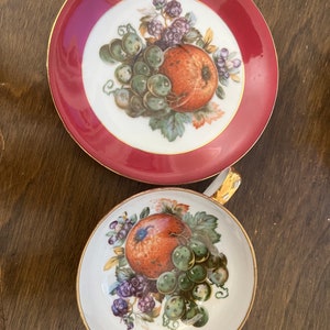 Saji Occupied Japan Fancy China Tasse und Untertasse Set Obstgarten Obst und Blumen