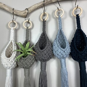 May include: Five macrame plant hangers in different colors, including white, gray, dark gray, light gray, and black. Each hanger has a wooden ring at the top and a tassel at the bottom. The hangers are hanging from a branch.