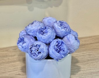 Limited Edition Blue Preserved Peonies in Box: Forever Flower Gift