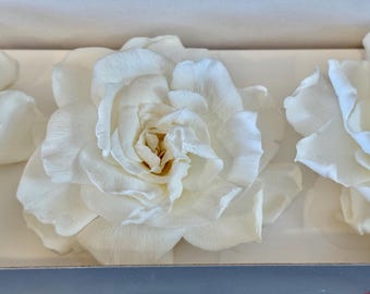 Wholesale Preserved Gardenia flowers