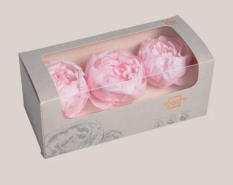 Wholesale Preserved PEONY flowers