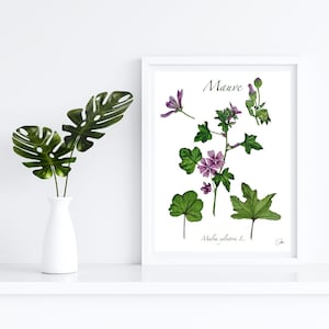 digital file MAUVE Handmade watercolor botanical board - digital file