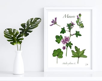 digital file MAUVE Handmade watercolor botanical board - digital file