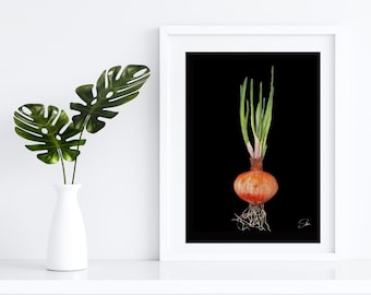 digital file - Watercolor onion