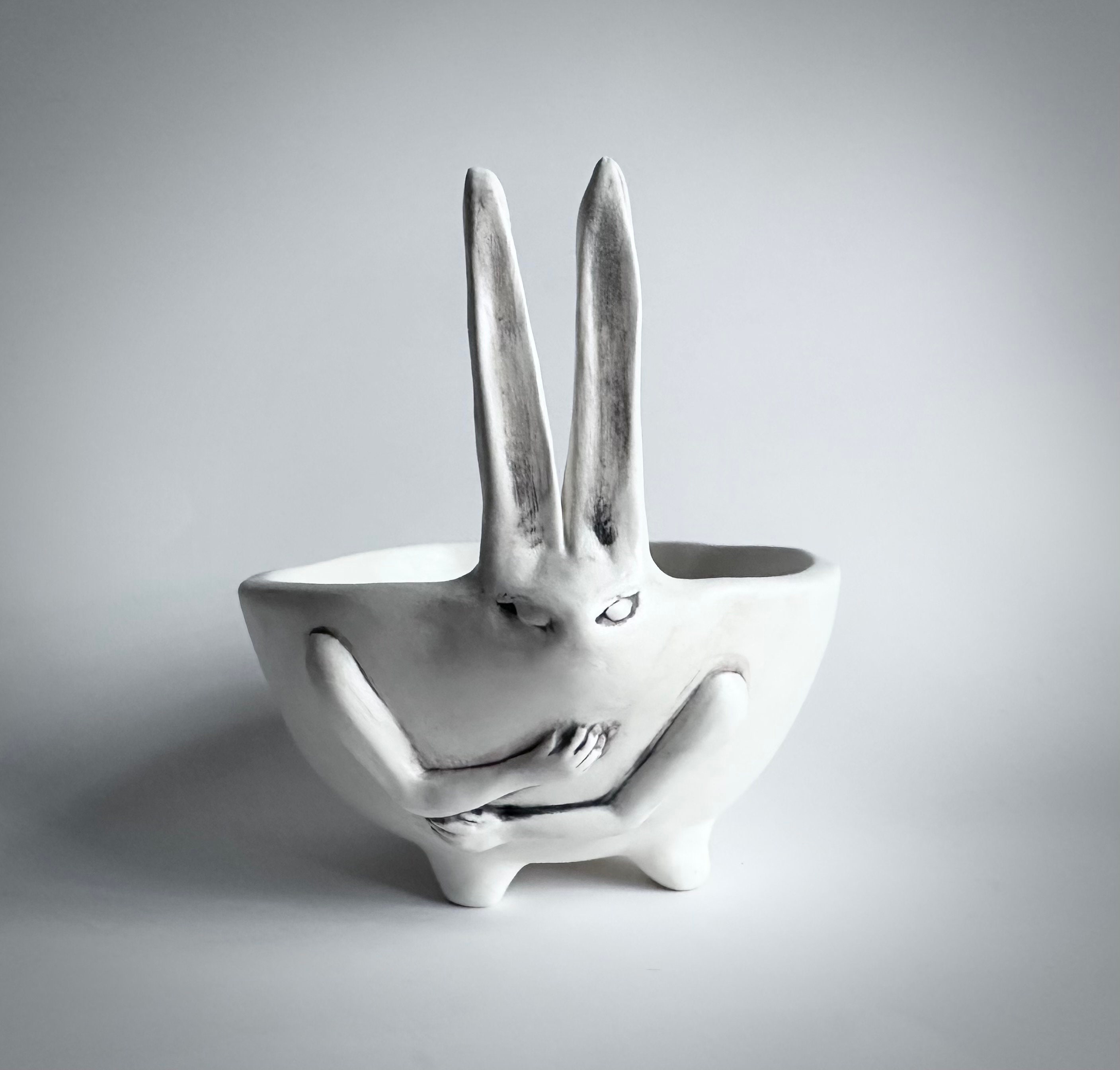 Rabbit Planter With Hands | Succulent Planter| Porcelain White Rabbit ...