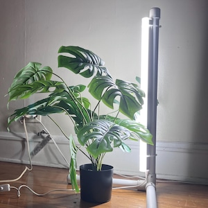 Led Grow Lights for indoor plants- easy to grow plants indoors garden lights for house  plants