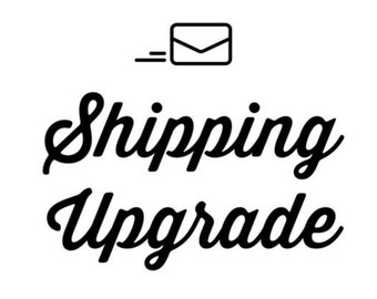 Shipping Upgrade to Priority Express Mail