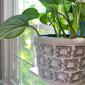 May include: A green potted plant with large leaves in a white and gray crocheted planter.