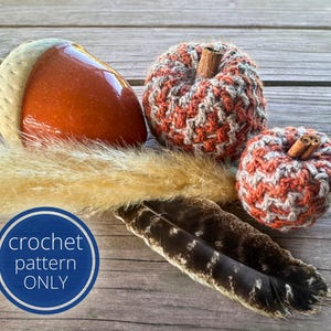 May include: An acorn-shaped ceramic decoration with a glossy orange top and a beige base, alongside two crocheted pumpkins with cinnamon stick stems. The pumpkins are orange and gray. A feather and dried grass are also present. The text "crochet pattern ONLY" is in a blue circle.