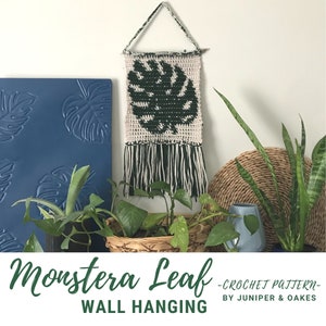 May include: A crochet wall hanging featuring a green monstera leaf with white and green fringe. The hanging is displayed against a white wall with plants and a blue wall with a monstera leaf embossed pattern.