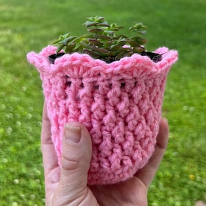 May include: A pink crocheted plant pot with a scalloped edge, holding a small succulent plant.