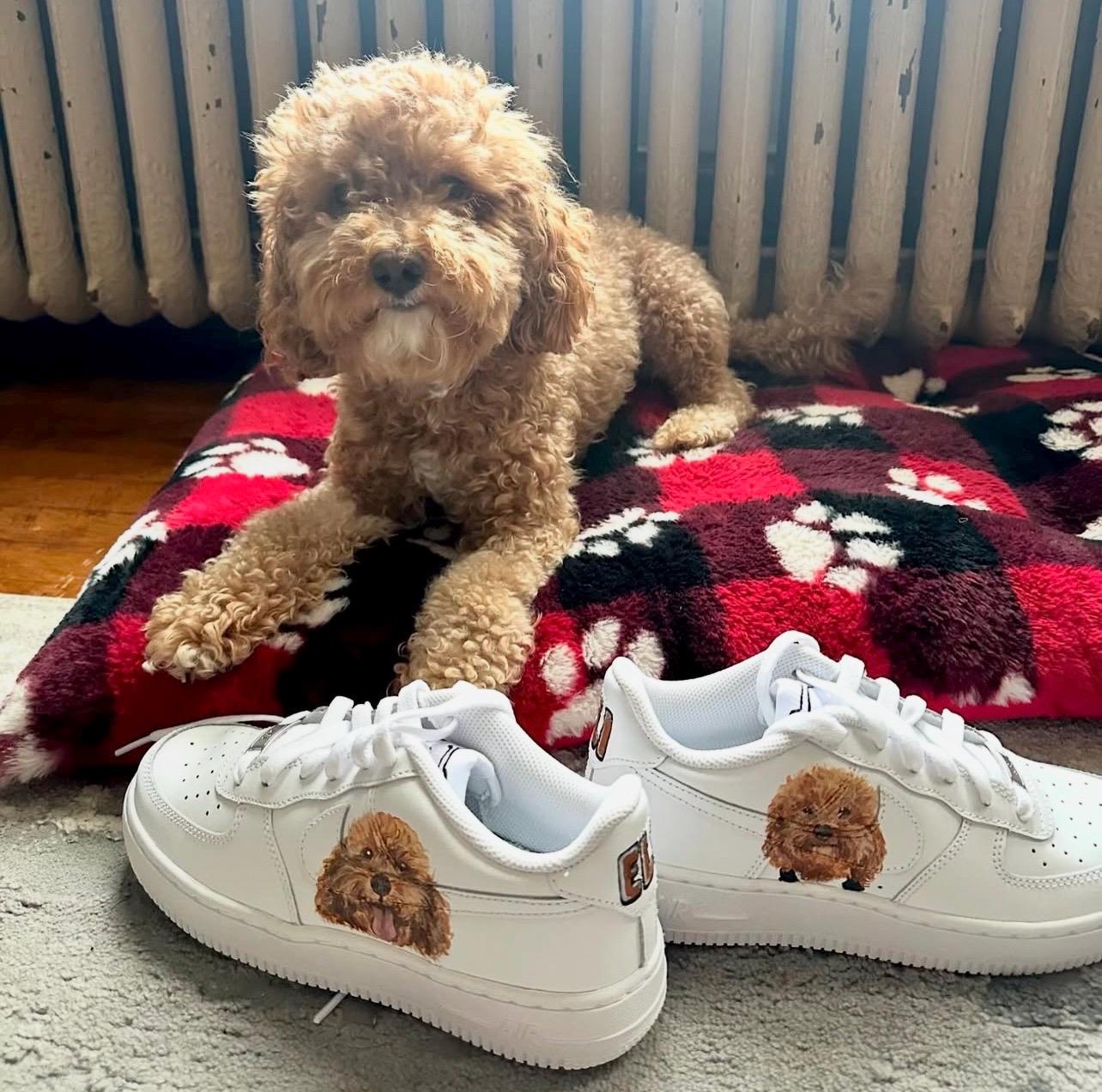 Air Force 1 Dog Shoes - Etsy
