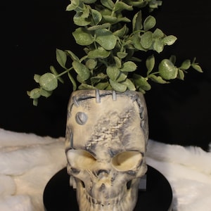 Skull Planter