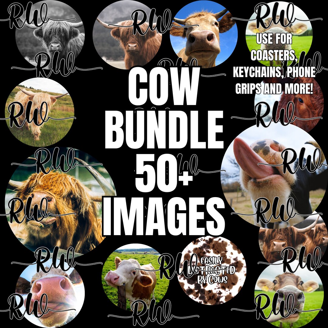 Vector Cow Round Sticker Cow Bundle Png Round Stickers Coasters Keychains Cows Cow Photos - Etsy
