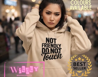 Niet-vriendelijke hoodie | Grappige sarcastische hoodie | Uniseks grafisch sweatshirt | Introverte humor hoodie | Gezellige statement-hoody