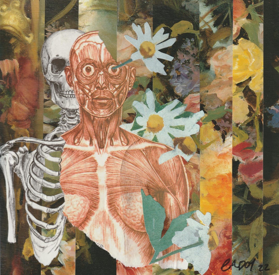 Human - Original Collage - Etsy