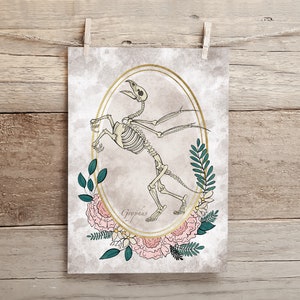 Skeleton Griffin Art Print