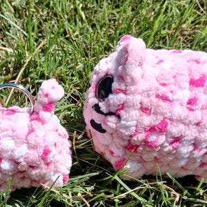 May include: Two handmade, pink and white crochet cat plushies with black facial details and large black eyes. One is a keychain, the other is a larger stuffed animal. Both are on green grass.