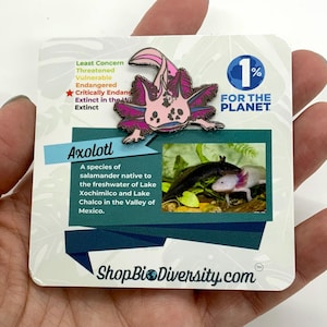 Adorable Pink Axolotl Enamel Pin - Cute Kawaii Lapel Pin for Axolotl Lovers, Backpack Accessories, Unique Gift for Animal Enthusiasts