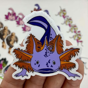 Purple Axolotl Vinyl Sticker - Cute Kawaii Waterproof Decal for Laptops, Water Bottles, Journals, Perfect Gift for Axolotl Lovers & Fans
