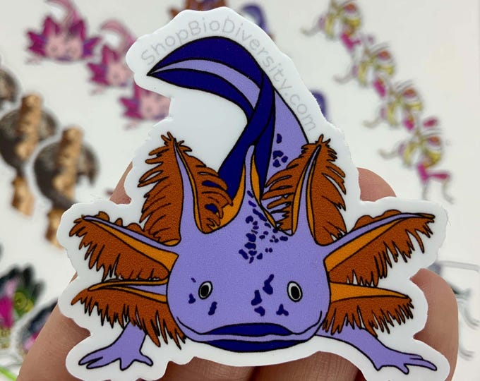 Purple Axolotl Vinyl Sticker - Cute Kawaii Waterproof Decal for Laptops, Water Bottles, Journals, Perfect Gift for Axolotl Lovers & Fans