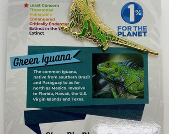 Green Iguana Enamel Pin - Stunning Gold Accent Reptile Pin, Perfect Gift for Iguana Lovers, Reptile Fans, or Unique Wildlife Accessories