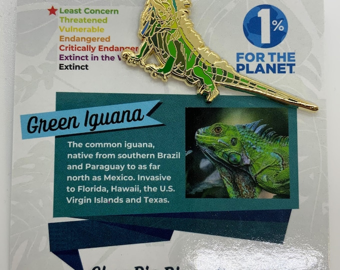 Green Iguana Enamel Pin - Stunning Gold Accent Reptile Pin, Perfect Gift for Iguana Lovers, Reptile Fans, or Unique Wildlife Accessories