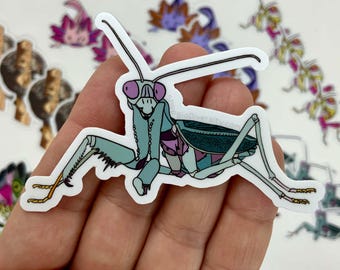 Jade Mantis Sticker – Vibrant, Eco-Friendly, Perfect for Insect Lovers, Nature Enthusiasts, Water Bottles, Laptops, and Sticker Collectors!