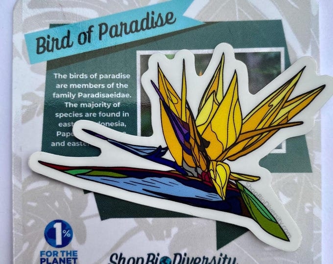 Bird of Paradise Vinyl Decal - Tropical Flower, Durable Waterproof Decal, Perfect Gift for Plant Lover, Laptop, Water Bottle,  Journal Deco