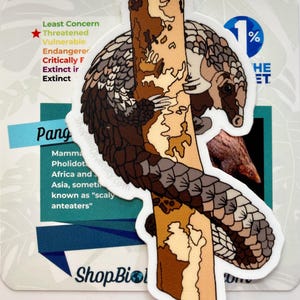 Pangolin Vinyl Sticker - Unique Animal Lover Gift, Wildlife Conservation Pin, Scaly Anteater Art, Eco-Friendly Decal, Endangered Mammal