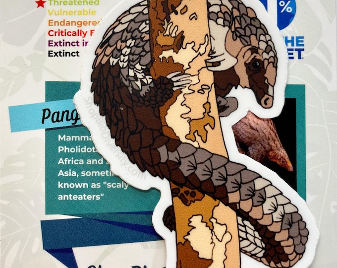 Pangolin Vinyl Sticker - Unique Animal Lover Gift, Wildlife Conservation Pin, Scaly Anteater Art, Eco-Friendly Decal, Endangered Mammal