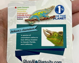 Jackson’s Chameleon Enamel Pin – Gold Base, Eco-Friendly, Perfect for Reptile Lovers, Backpacks, Jackets, and Nature Collectors!