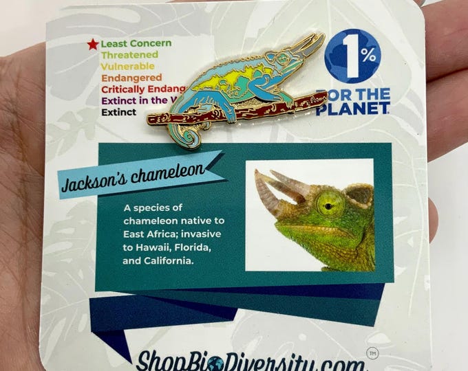 Jackson’s Chameleon Enamel Pin – Gold Base, Eco-Friendly, Perfect for Reptile Lovers, Backpacks, Jackets, and Nature Collectors!