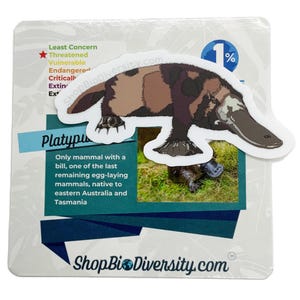 Platypus Vinyl Sticker - Unique Australian Wildlife Art, Egg-Laying Mammal, Durable Eco-Friendly Sticker, Nature Lover Gift