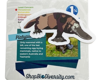Platypus Vinyl Sticker: Australian Wildlife Art, Eco-Friendly Gift