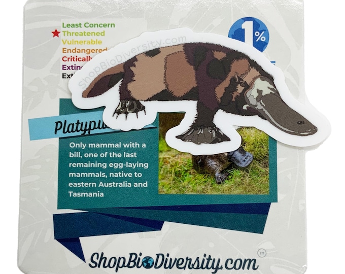 Platypus Vinyl Sticker - Unique Australian Wildlife Art, Egg-Laying Mammal, Durable Eco-Friendly Sticker, Nature Lover Gift