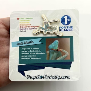 Jade Mantis Enamel Pin: Gold Base Insect Pin
