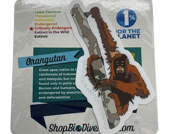 Orangutan Vinyl Sticker - Critically Endangered Great Ape Art, Rainforest Animal Awareness, Eco-Friendly Wildlife Conservation Gift