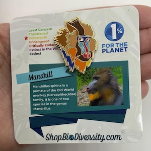 Peut inclure: Une épingle en émail dorée représentant un mandrill avec des couleurs bleu, orange et marron. L'épingle est fixée à une carte blanche avec le texte "Mandrill" et des informations sur l'espèce. La carte comprend également le logo 1% pour la planète.