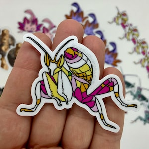 Sticker orchidee bidsprinkhaan - roze bloem bidsprinkhaan kunst, insect minnaar cadeau, tropische bug vinyl sticker, op de natuur geïnspireerde milieuvriendelijke instandhouding kunst
