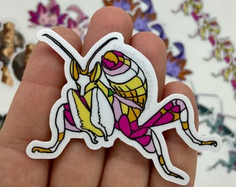Orchid Mantis Sticker - Pink Flower Mantis Art, Insect Lover Gift, Tropical Bug Vinyl Decal, Nature-Inspired Eco-Friendly Conservation Art
