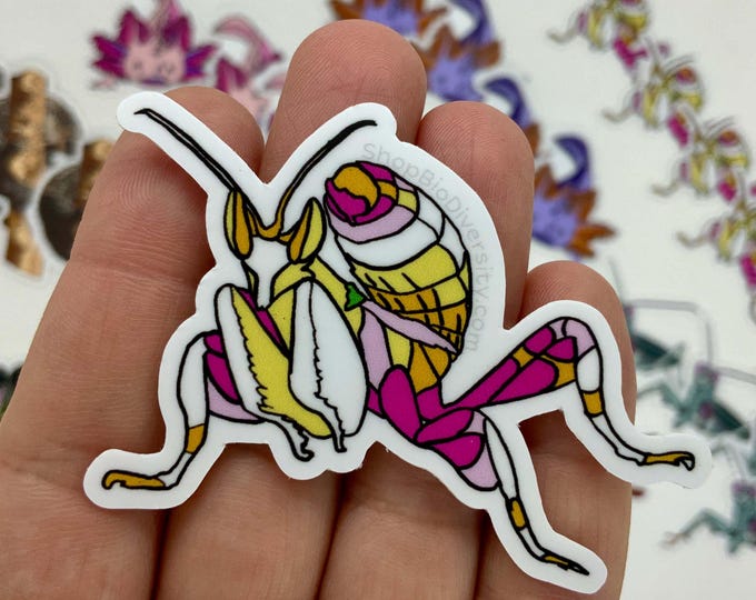 Orchid Mantis Sticker - Pink Flower Mantis Art, Insect Lover Gift, Tropical Bug Vinyl Decal, Nature-Inspired Eco-Friendly Conservation Art
